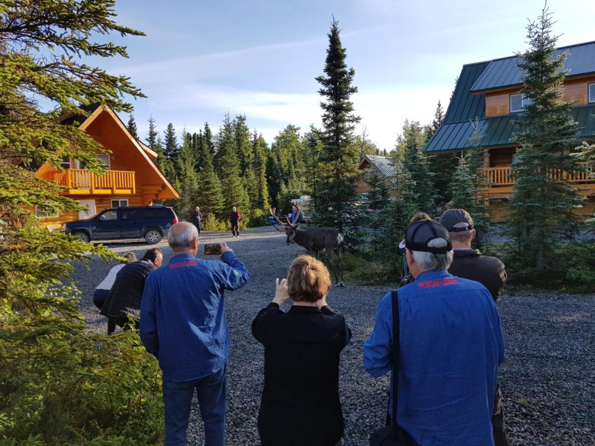 Salmon Catcher Lodge Кенай Экстерьер фото